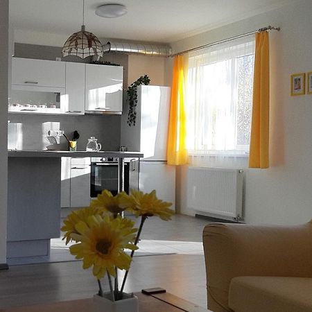 Rodinny Apartman Lucie V Blizkosti Wellness Hotelu Ve Frymburku Exterior foto