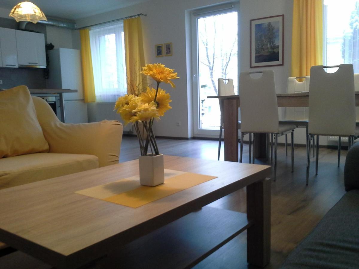 Rodinny Apartman Lucie V Blizkosti Wellness Hotelu Ve Frymburku Exterior foto